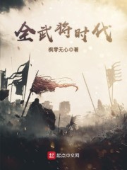 全武将时代